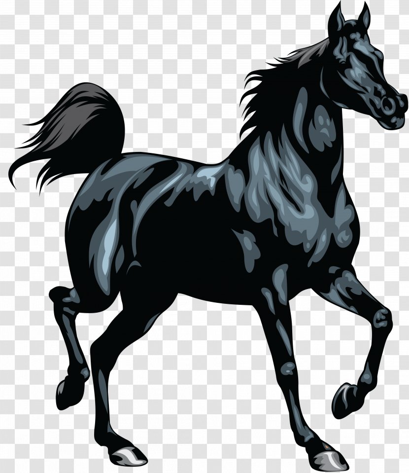 Mustang Equestrian Clip Art - Bridle - Horse Transparent PNG