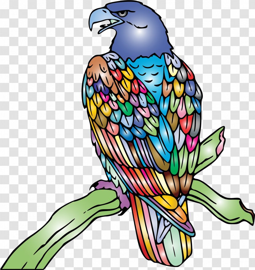 Clip Art Bald Eagle Illustration Line - American Clipart Image Transparent PNG
