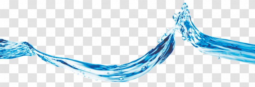 Water Child Liquid Notre Ressemblance - Business Transparent PNG