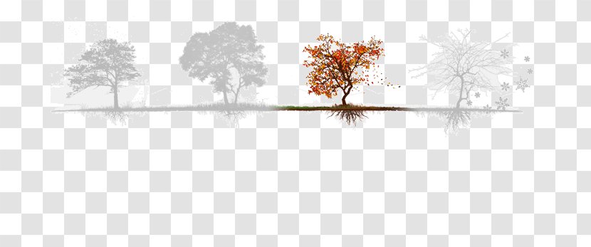 Line Water Point Tree Silhouette - Fall Season Transparent PNG