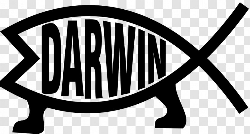 Darwin-Fisch Variations Of The Ichthys Symbol Fish Bumper Sticker - Black And White Transparent PNG