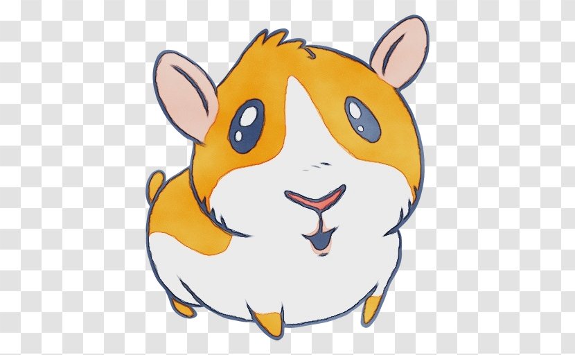 Hamster - Whiskers - Muroidea Transparent PNG