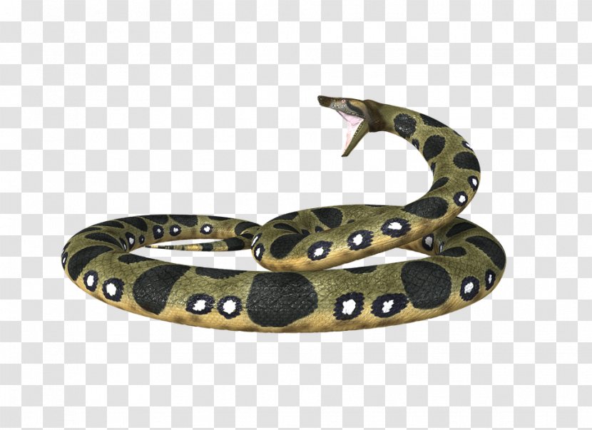 Snake Boa Constrictor Green Anaconda - Linux Distribution - Snakes Transparent PNG