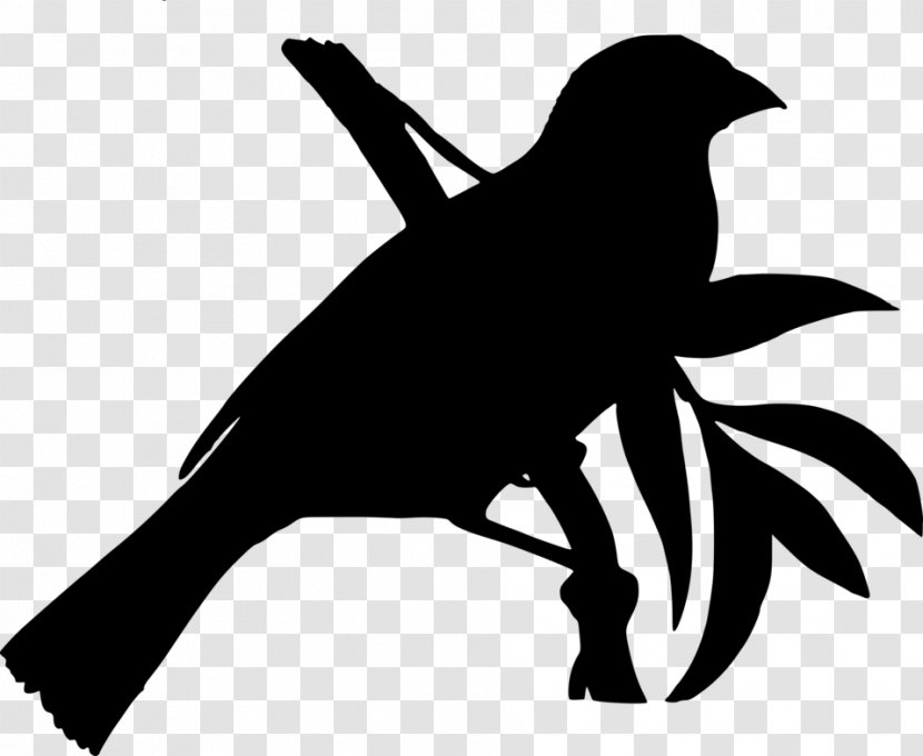 Beak Clip Art Silhouette Fauna - Bird - Plant Transparent PNG