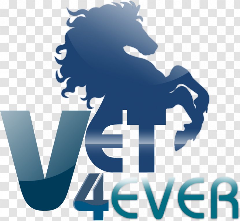 Logo Horse Sticker Silhouette Veterinarian - Vet Transparent PNG