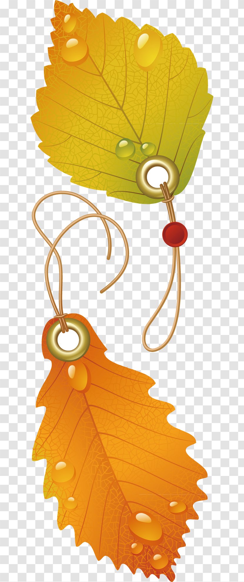 Japanese Maple Autumn Leaf Color - Fruit - Decoration Design Vector Transparent PNG