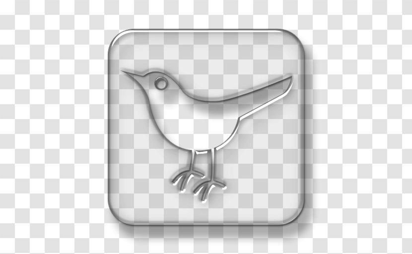 Social Media Logo Instagram Glass - Bird Transparent PNG