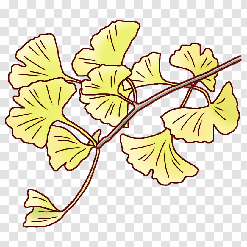 Marker Pen Drawing Watercolor Painting Leaf Flower Transparent PNG