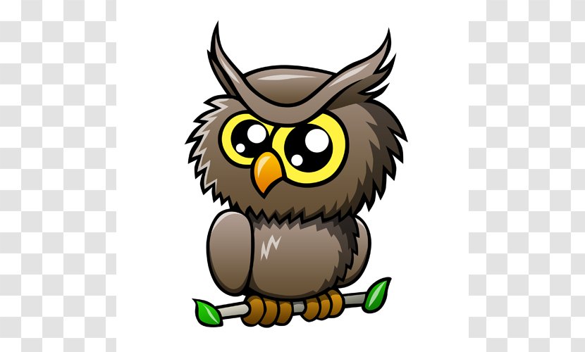 Owl Cartoon Clip Art - Drawing Transparent PNG