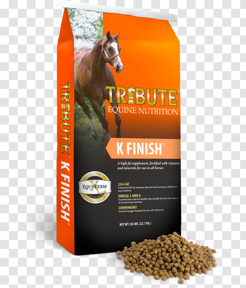 Horse Equine Nutrition Pelletizing Pet - Mineral Transparent PNG