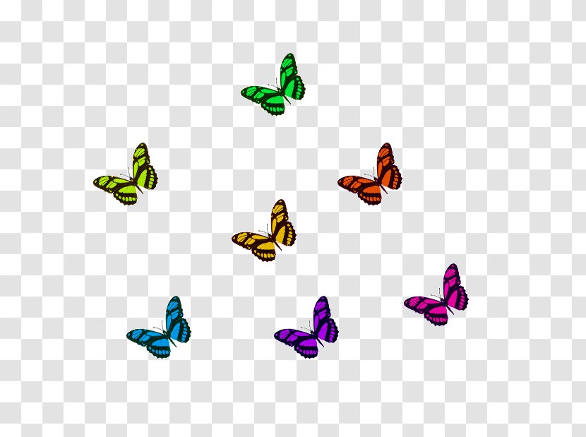 Brush-footed Butterflies Qingming Festival Adobe Photoshop Butterfly - Insect - Hd Transparent PNG