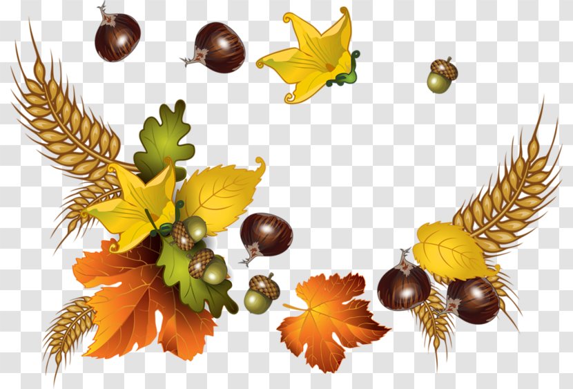 Autumn Auglis - Tree - Maple Wheat Transparent PNG