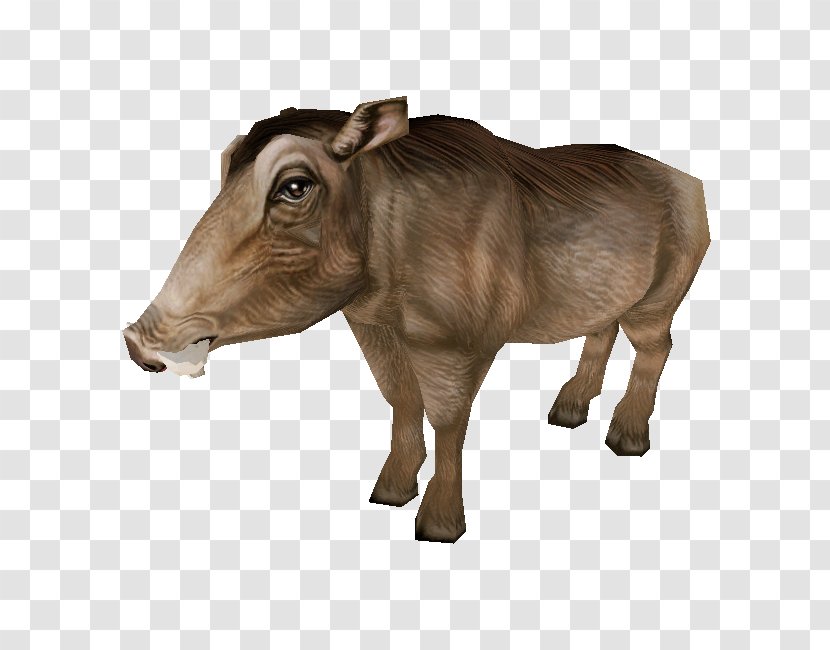 Cattle Ox Fauna Wildlife Terrestrial Animal - Zoo Tycoon 2 Animaux Transparent PNG