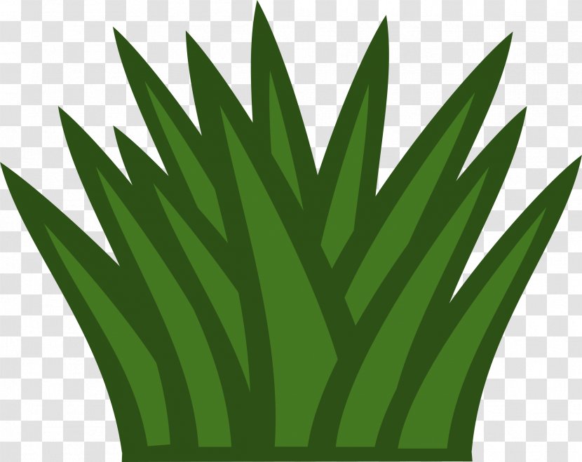 Temperate Grasslands, Savannas, And Shrublands Clip Art - Animation - Cactus Transparent PNG