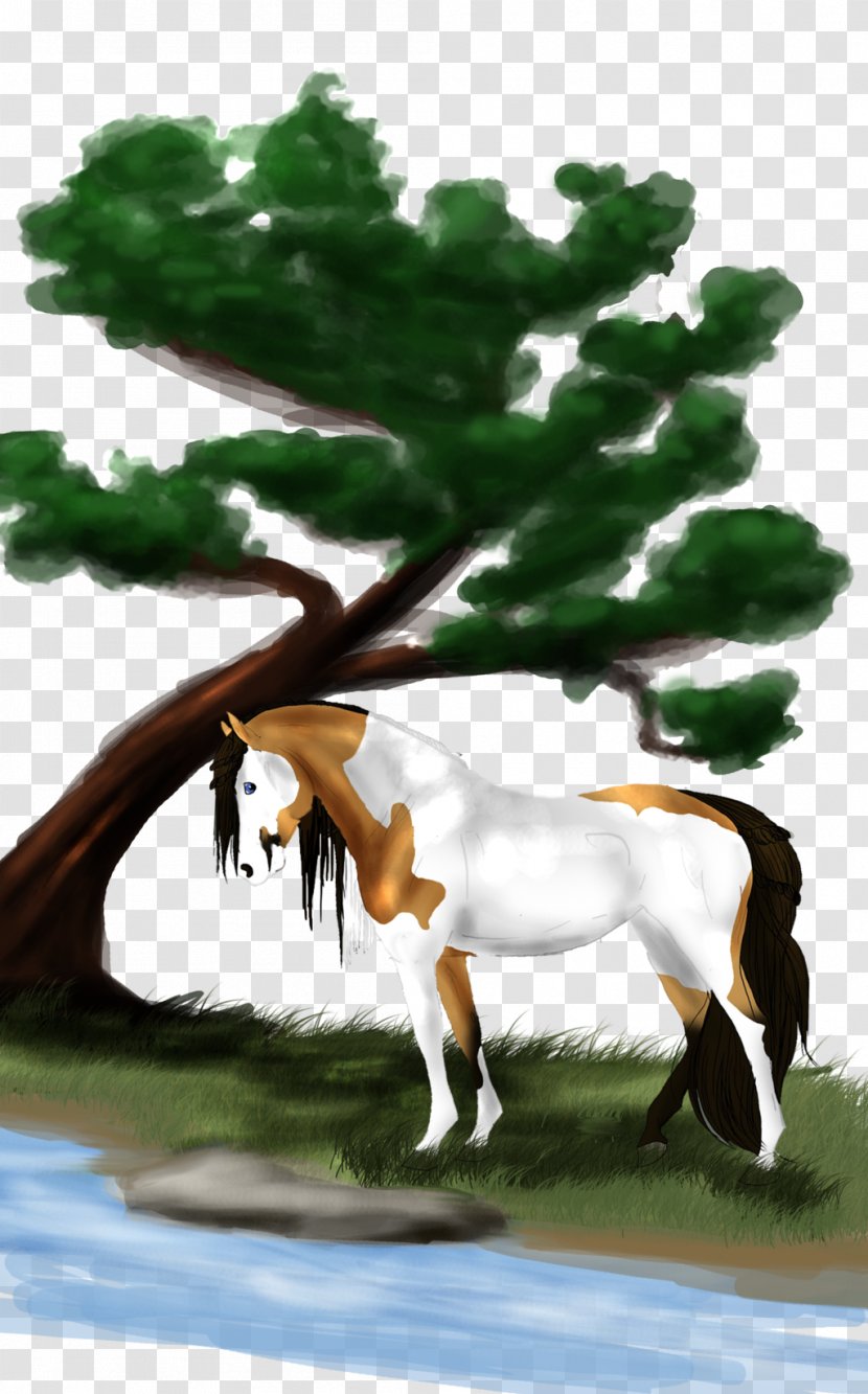 Mustang Foal Stallion Colt Pony - Grass Transparent PNG