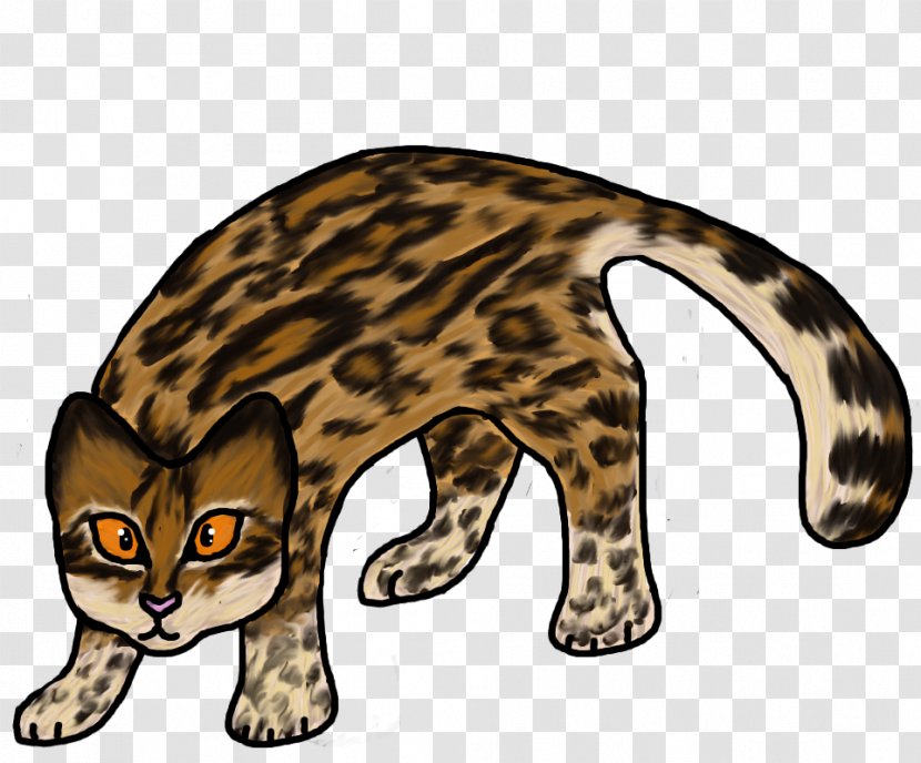 Ocelot Wildcat Cheetah Jaguar - Leopard - Shirts Egypt Transparent PNG
