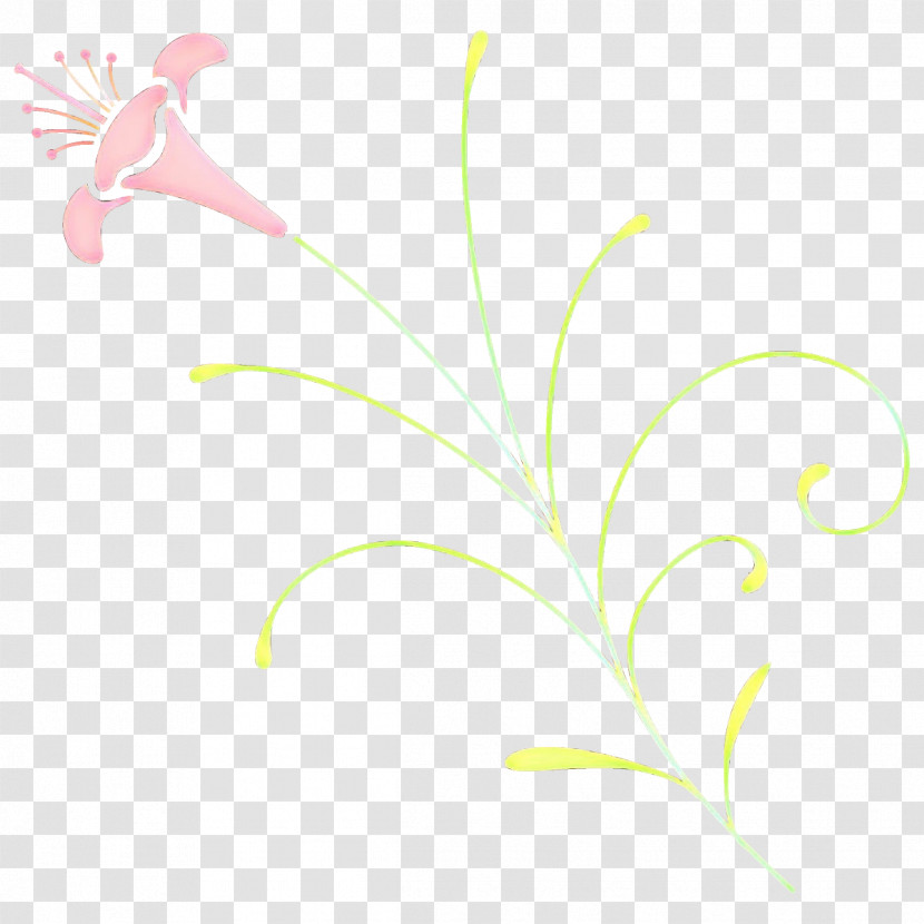 Leaf Plant Pedicel Flower Grass Transparent PNG