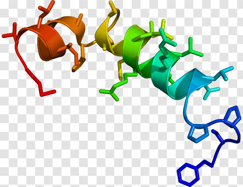 Orexin Clip Art Neuropeptide Sleep Narcolepsy - Analytical Chemistry Journal Writing Template Transparent PNG