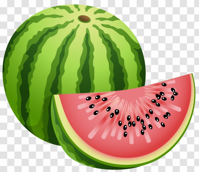 Watermelon Fruit Clip Art - Cantaloupe - Large Painted Clipart Transparent PNG