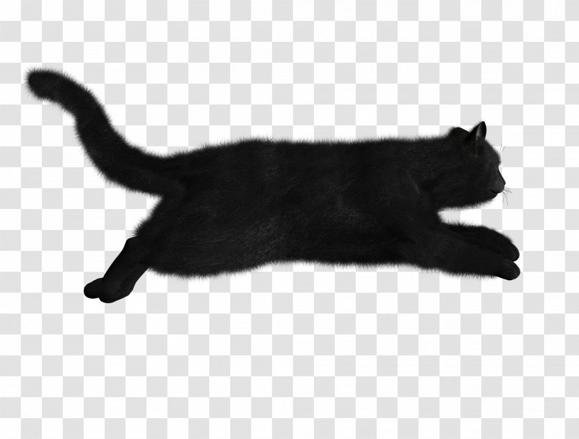 Black Cat Clip Art - Sleepy Transparent PNG