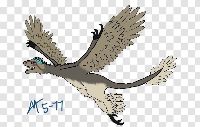 Hawk Owl Cartoon Fauna Eagle Transparent PNG