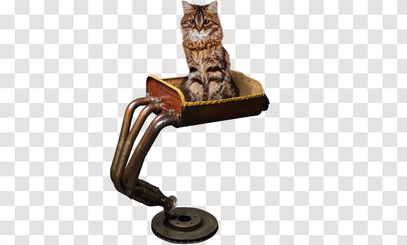 Cat Car Room Furniture Motorcycle - Table Transparent PNG