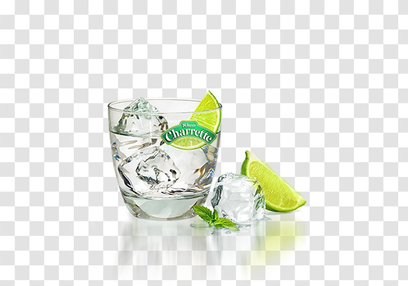 Rum Vodka Tonic Mojito Ice - Lemon Lime Transparent PNG