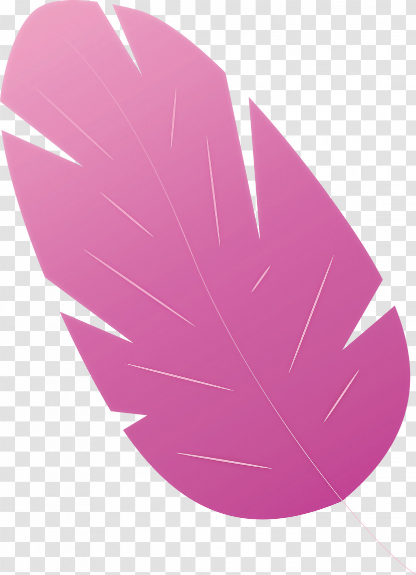 Leaf Transparent PNG