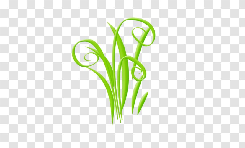 Clip Art - Flower - Green Grass Transparent PNG
