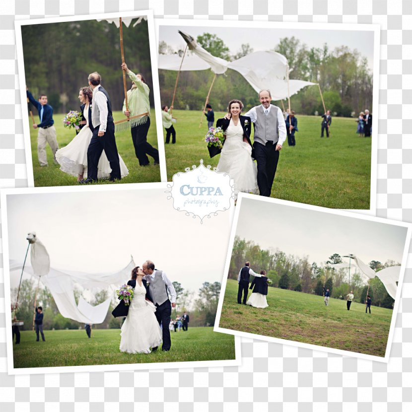 Wedding Photo Albums Collage Golf Clubs - Grass Transparent PNG