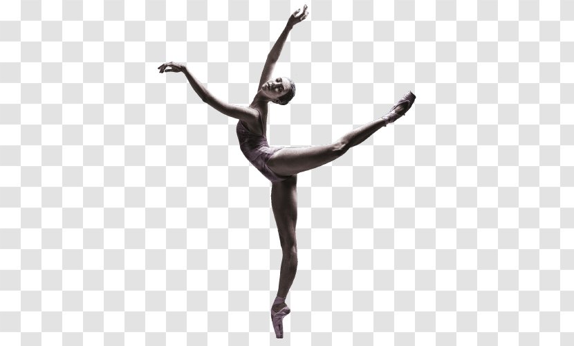 Performing Arts Dance The - Ballerinas Transparent PNG