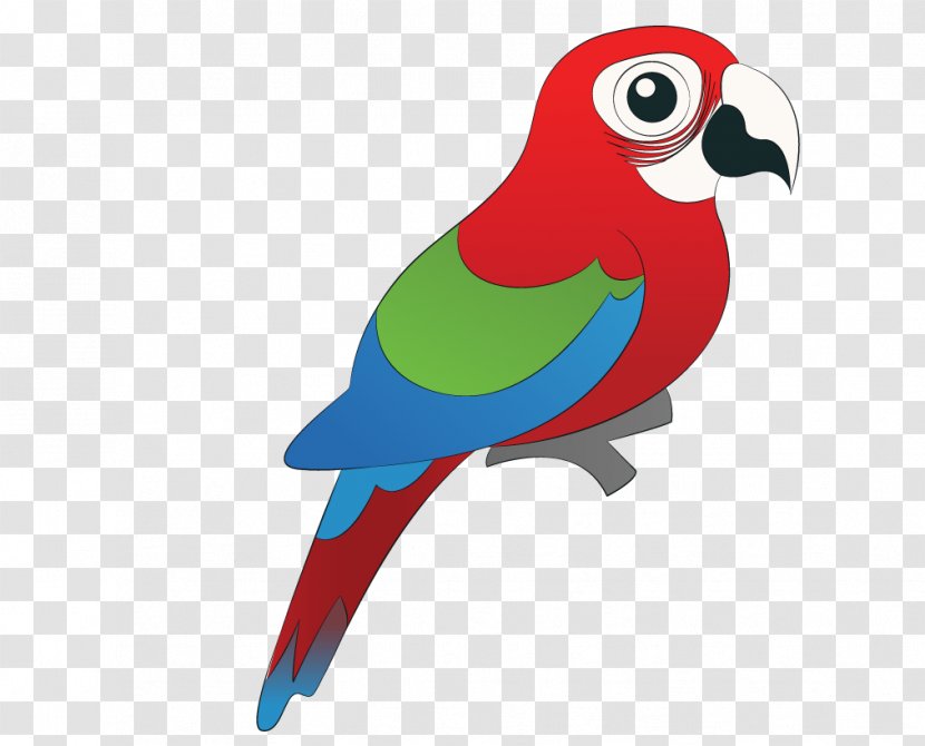 Bird Macaw Parrots Clip Art - Wing - Hand Colored Parrot Transparent PNG