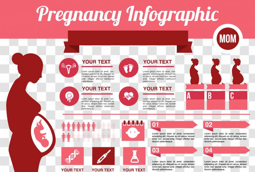 Infographic Pregnancy Childbirth - Brand - Pregnant Women Information Data PPT Material Transparent PNG