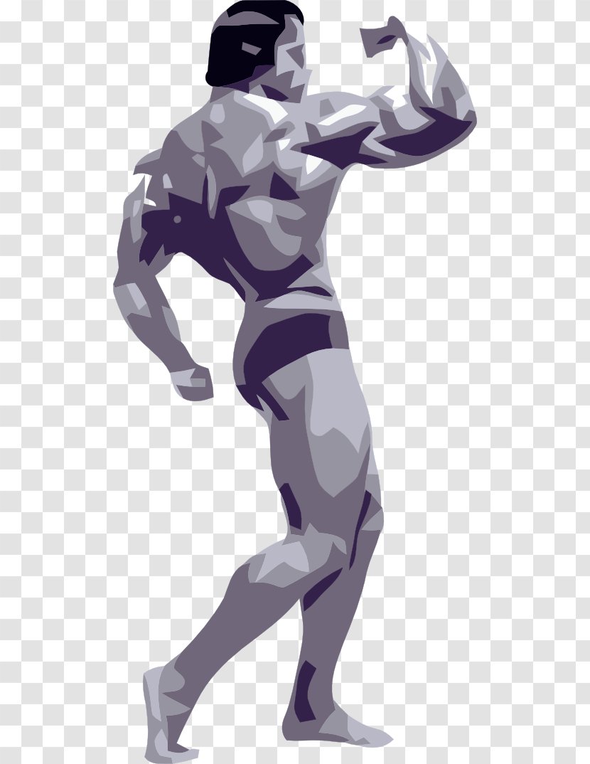 Bodybuilding Mr. Olympia Olympic Weightlifting - Exercise Transparent PNG