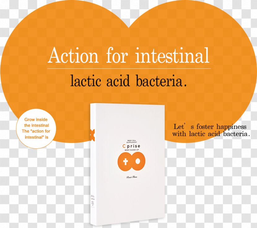 Lactobacillales 乳酸菌 Dietary Supplement Lactic Acid Bacteria - Orange Transparent PNG