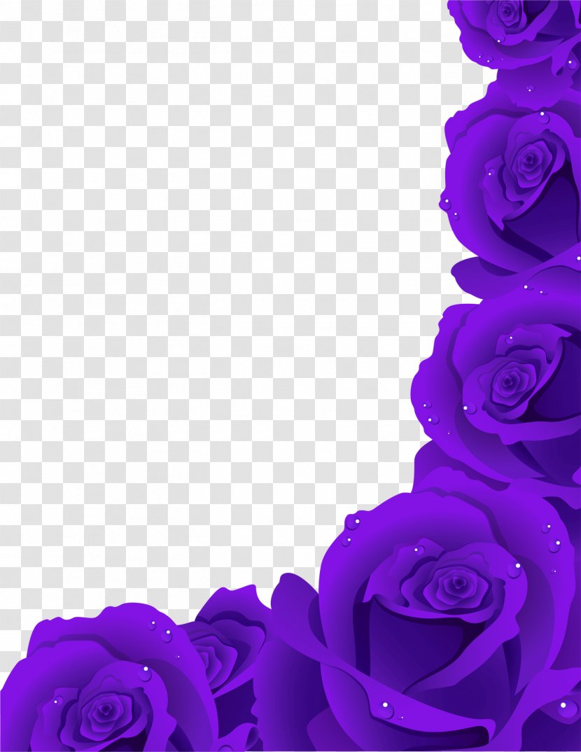 Rose Flower Clip Art - Family - Vector Floral Flowers Transparent PNG