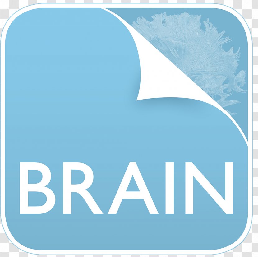 Brain Academic Journal Neurology Science Research - Sky Transparent PNG