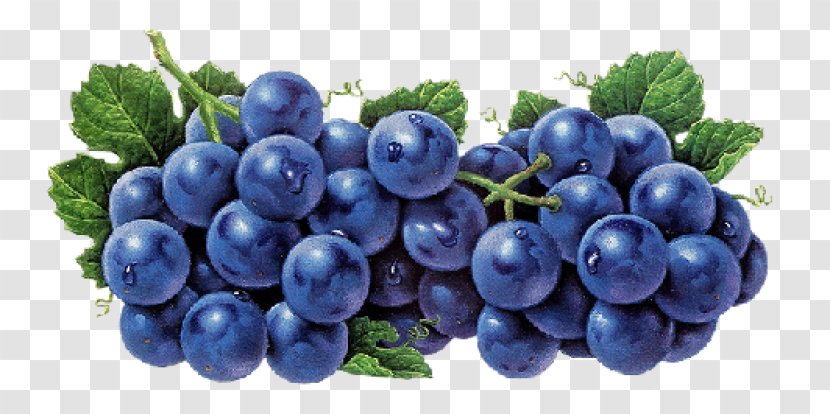 Grape Food Fruit Vegetable Auglis - Breakfast Transparent PNG