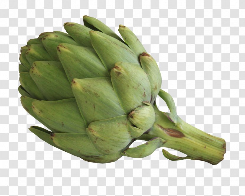 Artichoke Vegetable Food Purxe9e Fruit - Veganism Transparent PNG