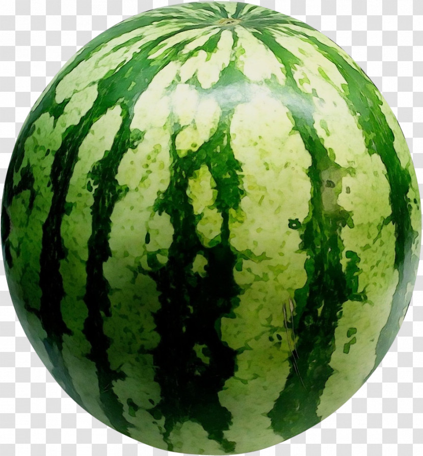 Watermelon Transparent PNG