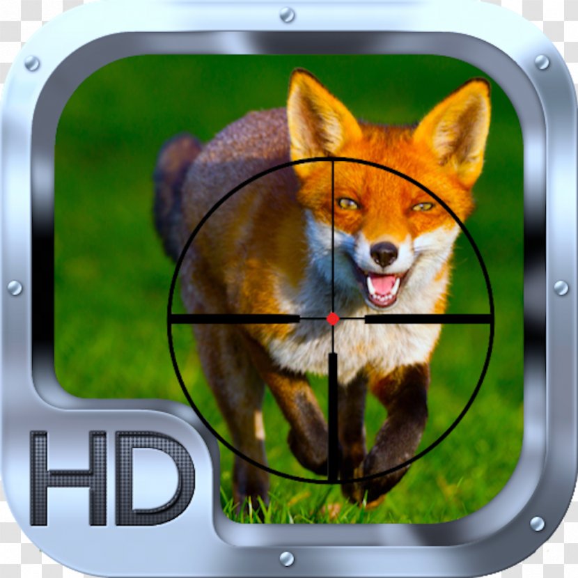 Red Fox Dog Animal Desktop Wallpaper Transparent PNG