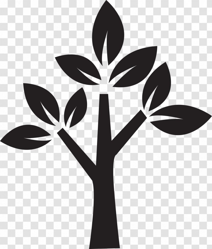 Plant Stem Tree Flower Riddle Transparent PNG