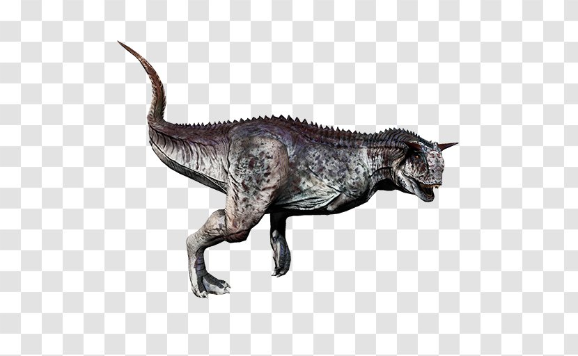 Tyrannosaurus Carnotaurus ARK: Survival Evolved Primal Carnage: Extinction Acrocanthosaurus - Dinosaur King Transparent PNG
