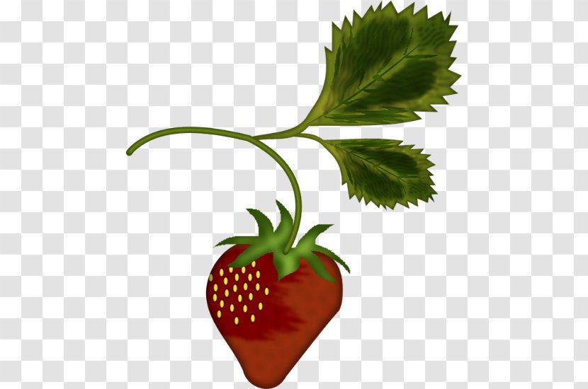 Strawberry Tree Shortcake Clip Art - Grass - Illustration Transparent PNG
