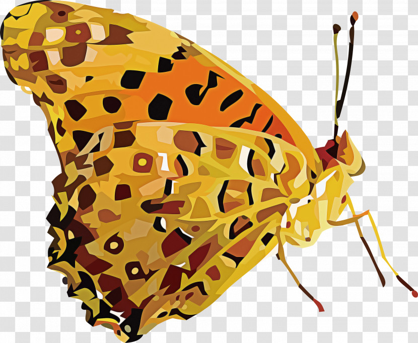 Monarch Butterfly Transparent PNG