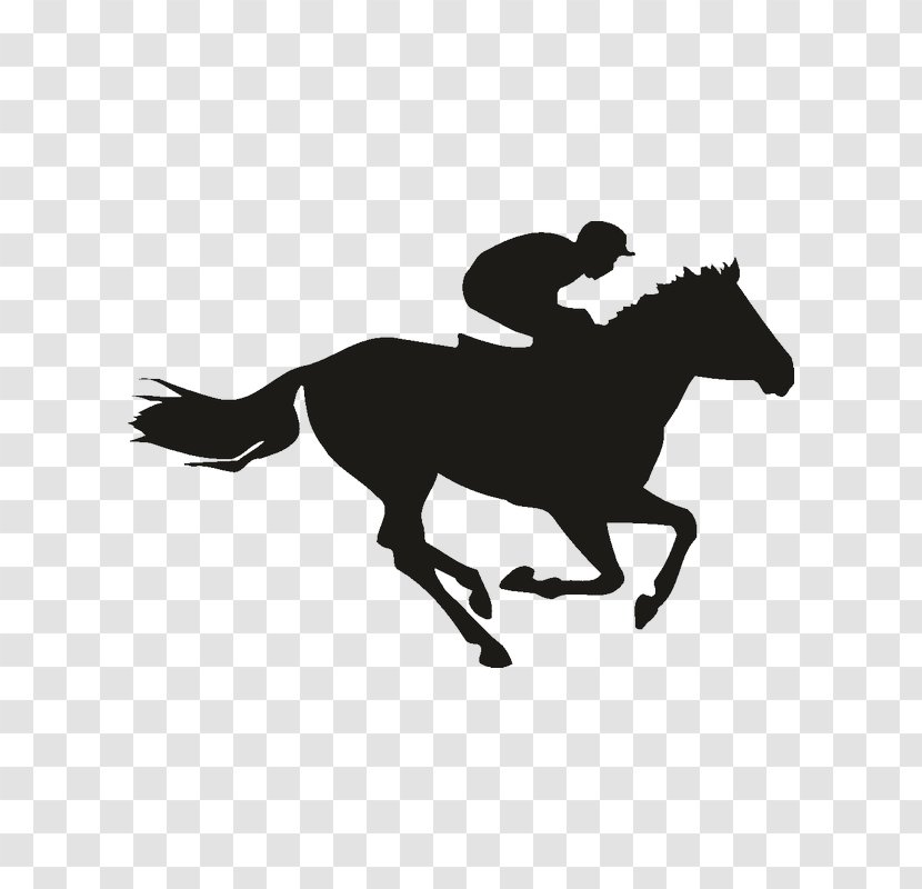 Horse Racing Equestrian The Kentucky Derby Transparent PNG
