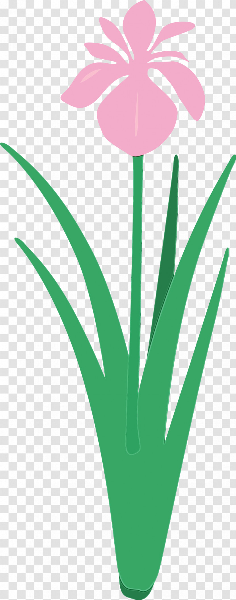 Green Leaf Plant Grass Flower Transparent PNG