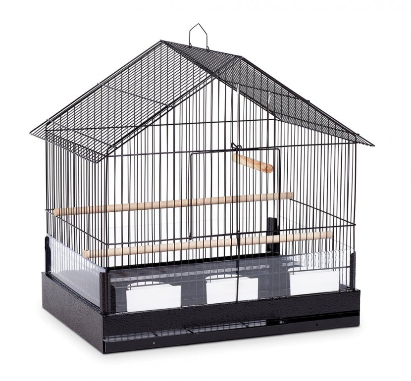 Bird Parrot Cockatiel Finch Budgerigar - Cage Transparent PNG