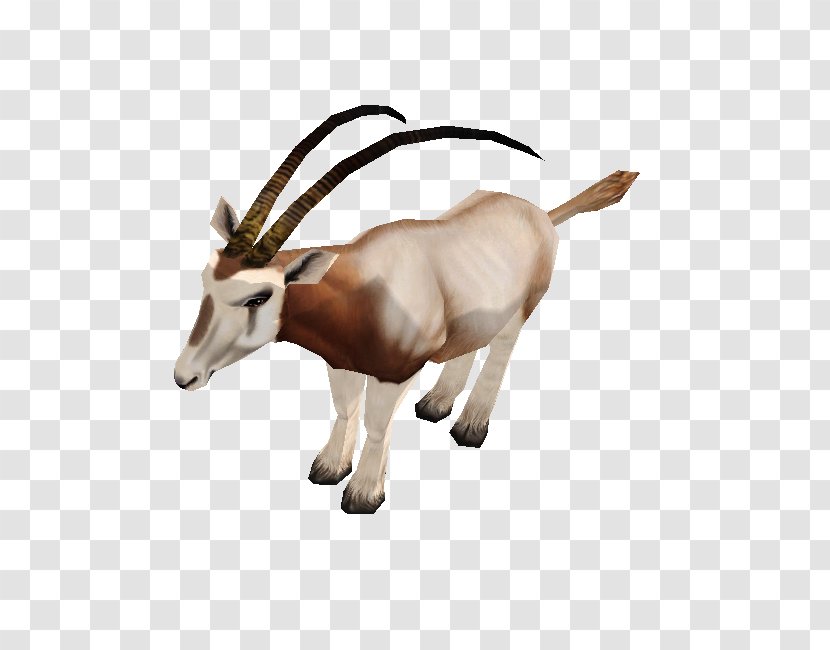 Gemsbok Zoo Tycoon 2 Scimitar Oryx Video Games - Safari Transparent PNG