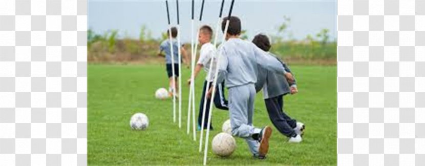 Hickory Golf Training Sport Football - Plant - Soccer Camp Transparent PNG